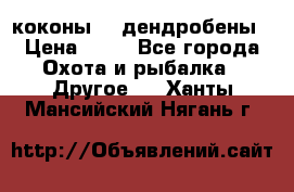 коконы    дендробены › Цена ­ 25 - Все города Охота и рыбалка » Другое   . Ханты-Мансийский,Нягань г.